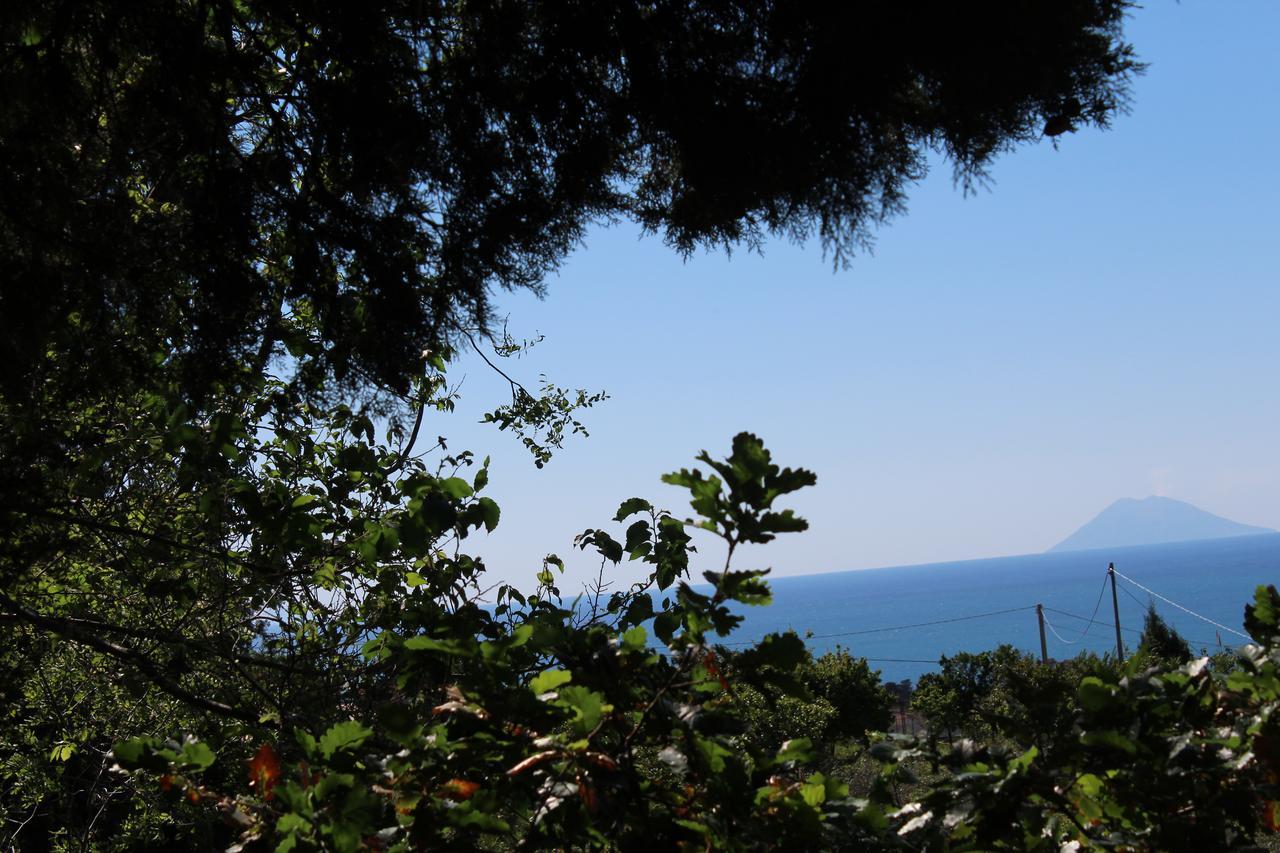 Agriturismo Ruralia Santa Domenica  Exteriör bild